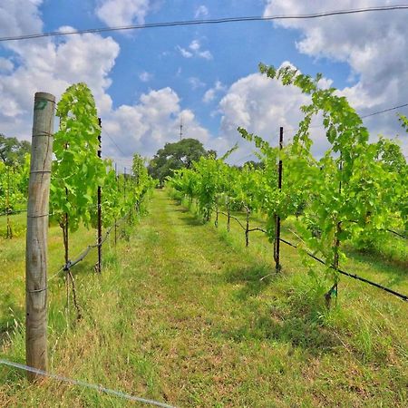 Fall Creek Vineyards Chardonnay Room Driftwood Exterior photo