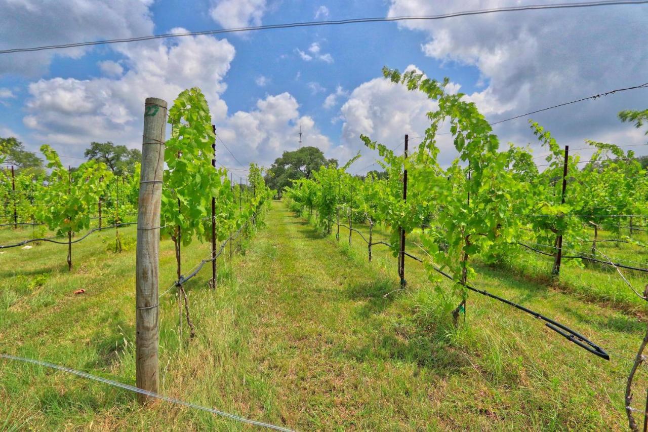 Fall Creek Vineyards Chardonnay Room Driftwood Exterior photo