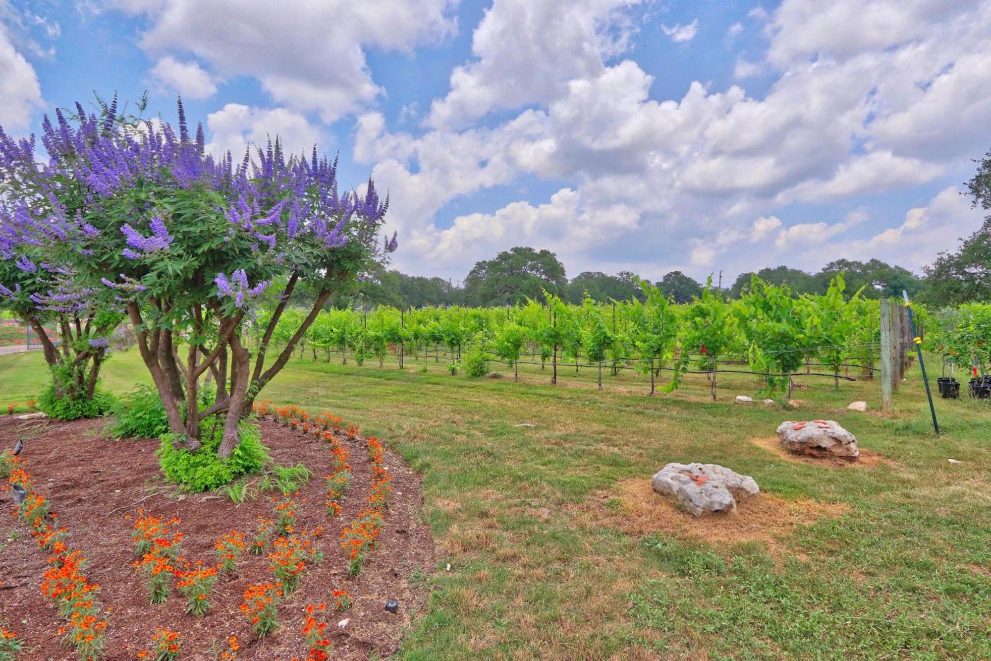 Fall Creek Vineyards Chardonnay Room Driftwood Exterior photo